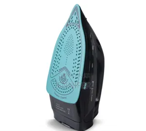 DPS Hot Sales Portable Automatic Garment Steamer