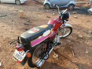 Bajaj Boxer 2019 Purple