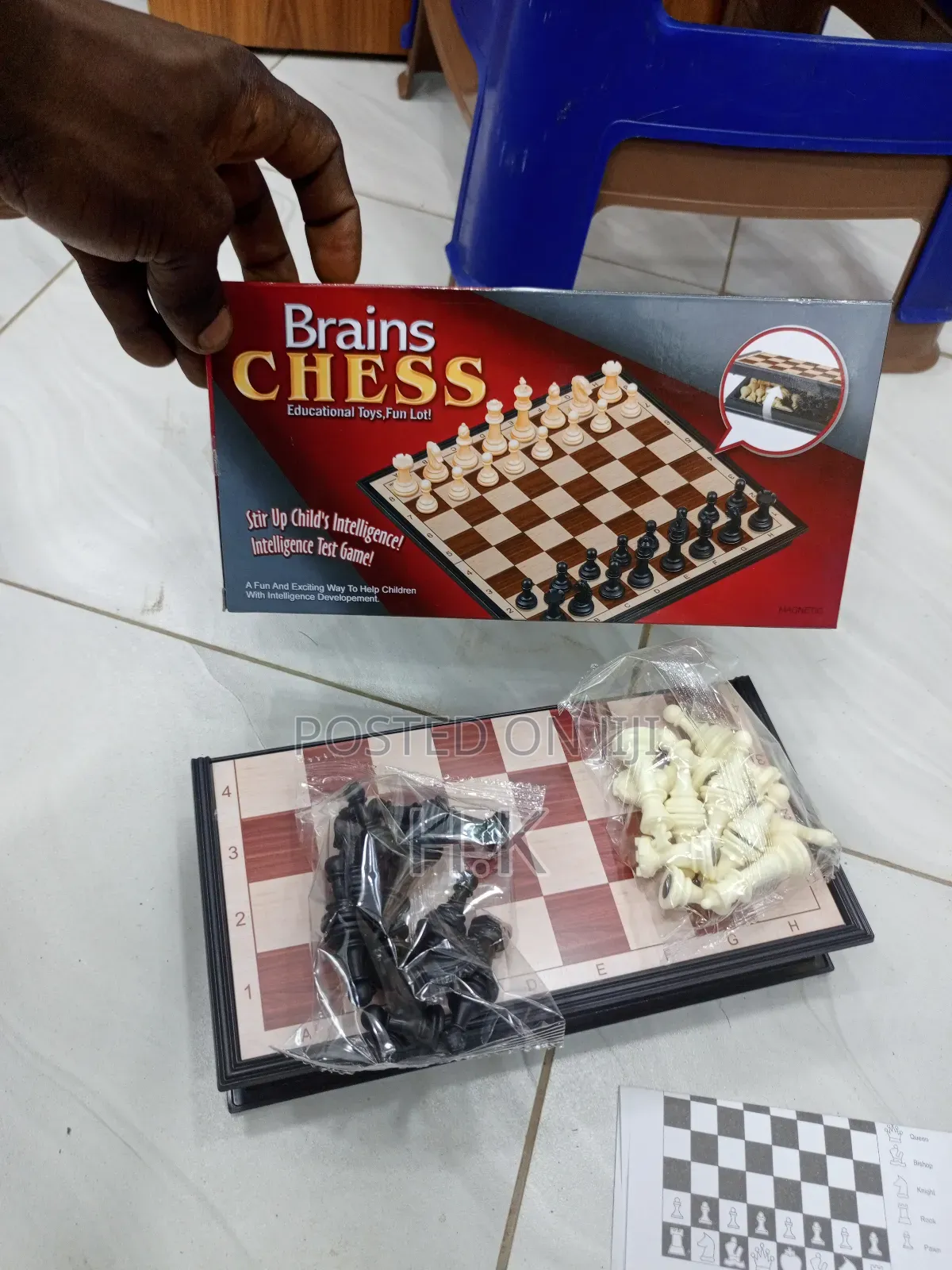 Brains Chess" Magnetic Board Game (Small)