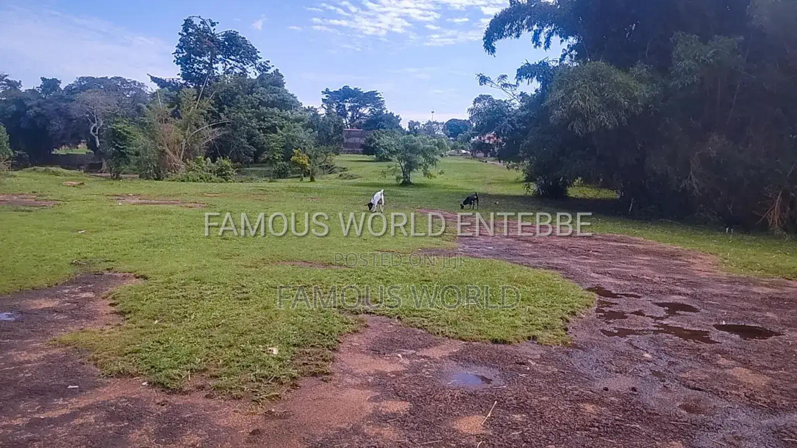 Victoria Lake Side Entebbe Kawuku Acres on Sale