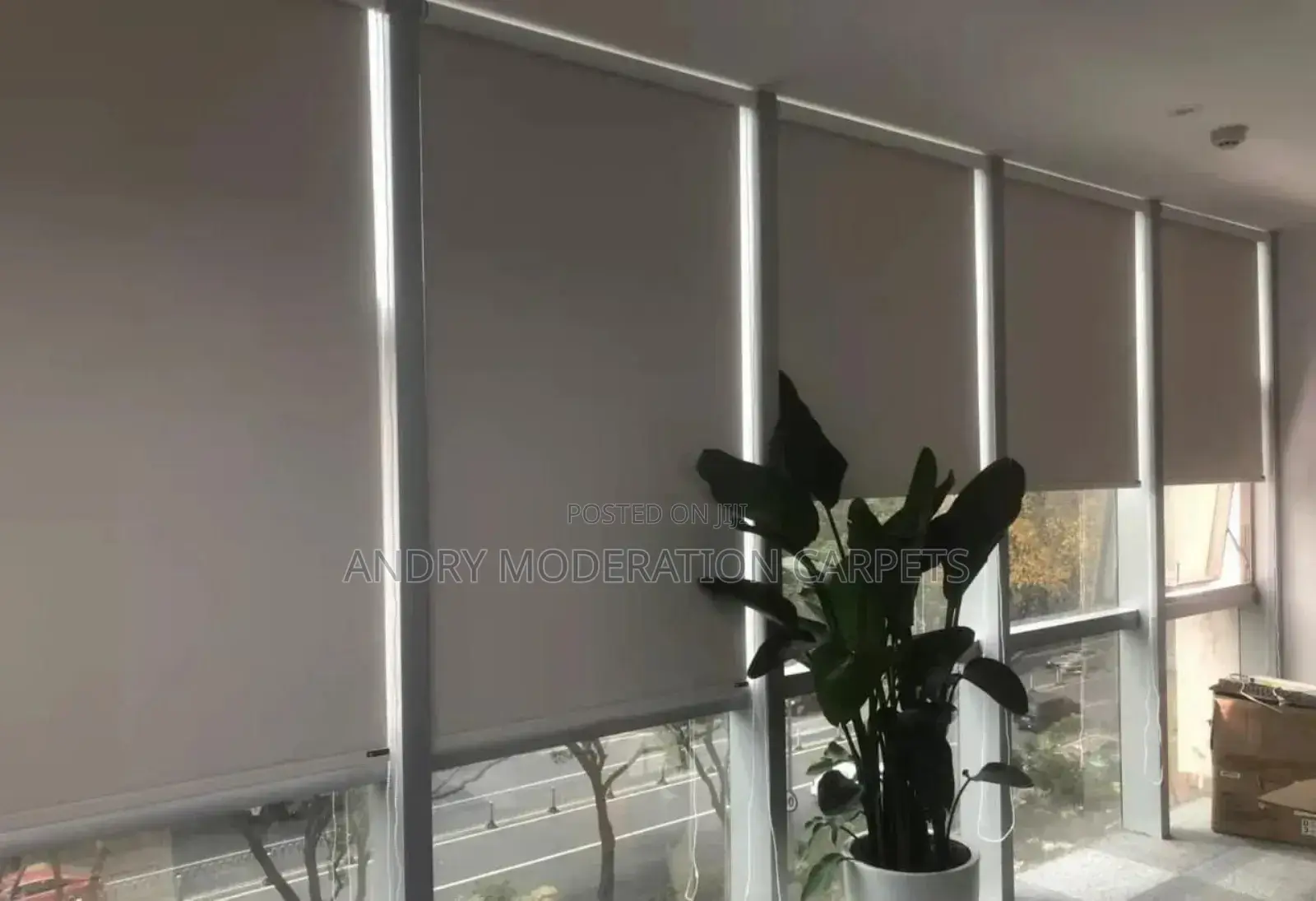 Single Roller Blind Curtains