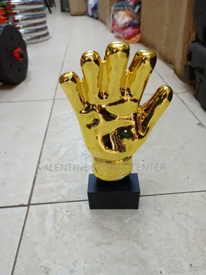 Best Goal Keeper Gloves Gold Original