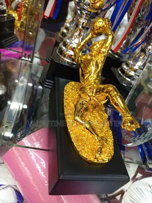 Awards the Best Keeper Goal Winner Original Material
