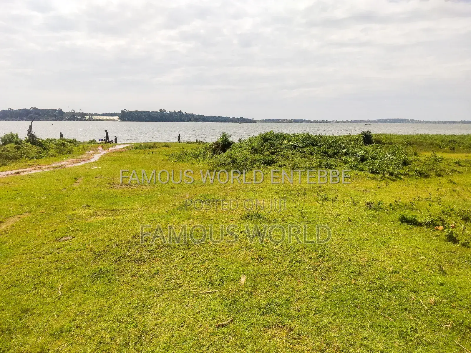 Entebbe Nkumba Lake Side Lands on Sale