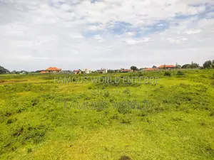 Entebbe Nkumba Lake Side Lands on Sale