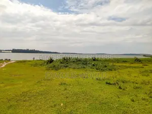 Entebbe Nkumba Lake Side Lands on Sale