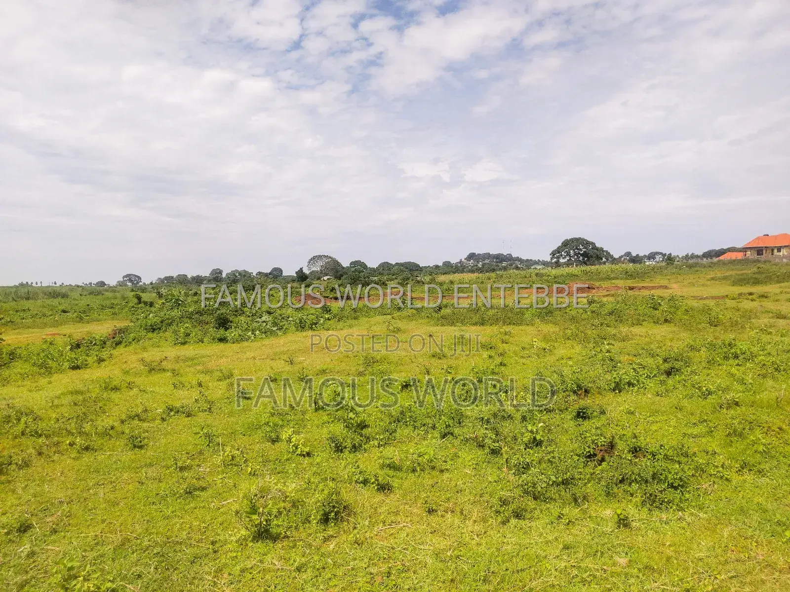 Entebbe Nkumba Lake Side Lands on Sale