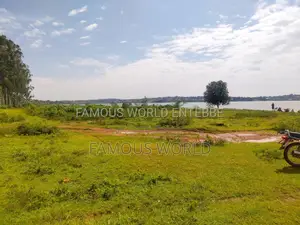 Entebbe Nkumba Lake Side Lands on Sale