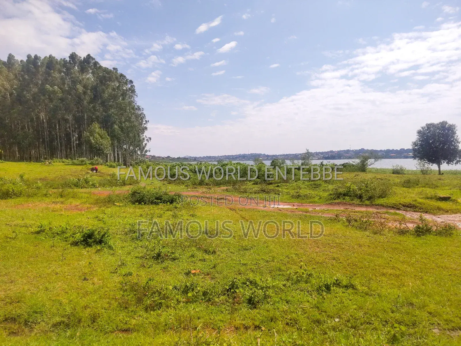 Entebbe Nkumba Lake Side Lands on Sale
