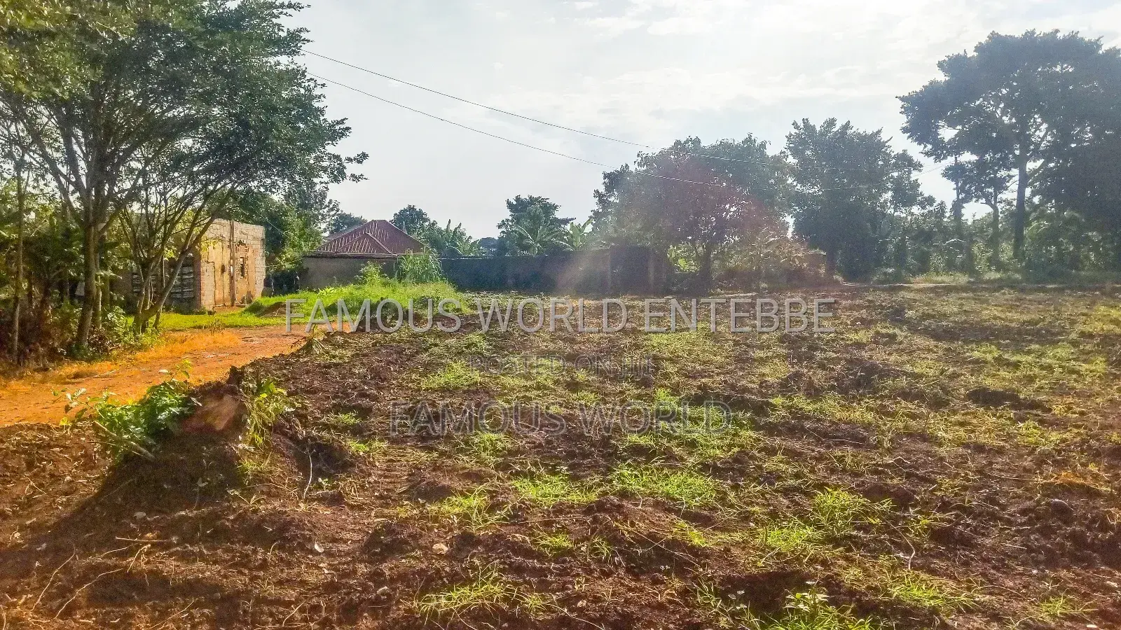 Entebbe Nkumba Titled Land for Sale, Standard 100 by 50