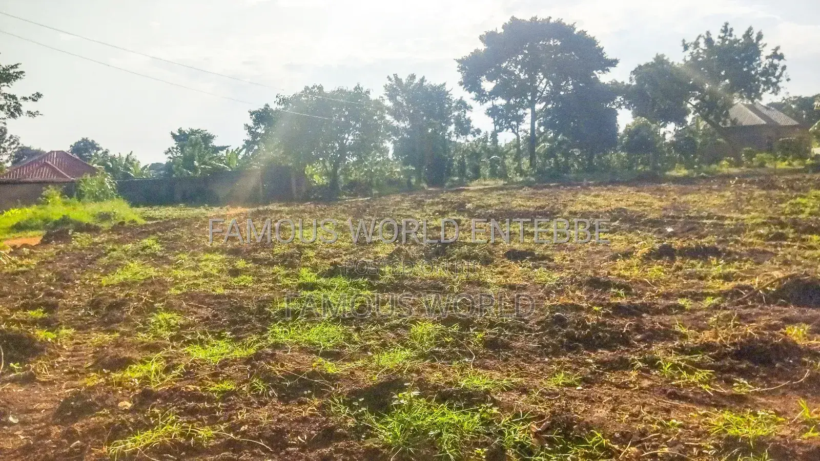 Entebbe Nkumba Titled Land for Sale, Standard 100 by 50