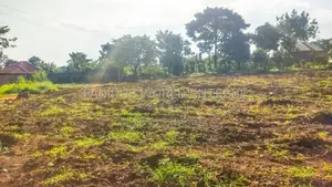 Entebbe Nkumba Titled Land for Sale, Standard 100 by 50