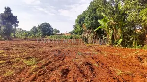 Entebbe Nkumba Titled Land for Sale, Standard 100 by 50