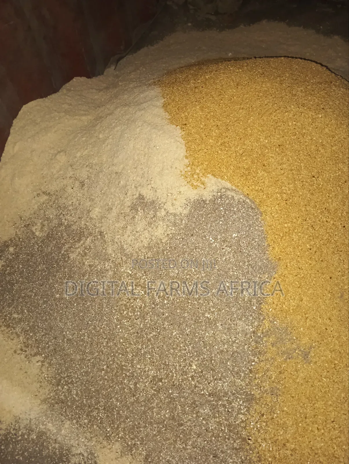 Dairy Meal