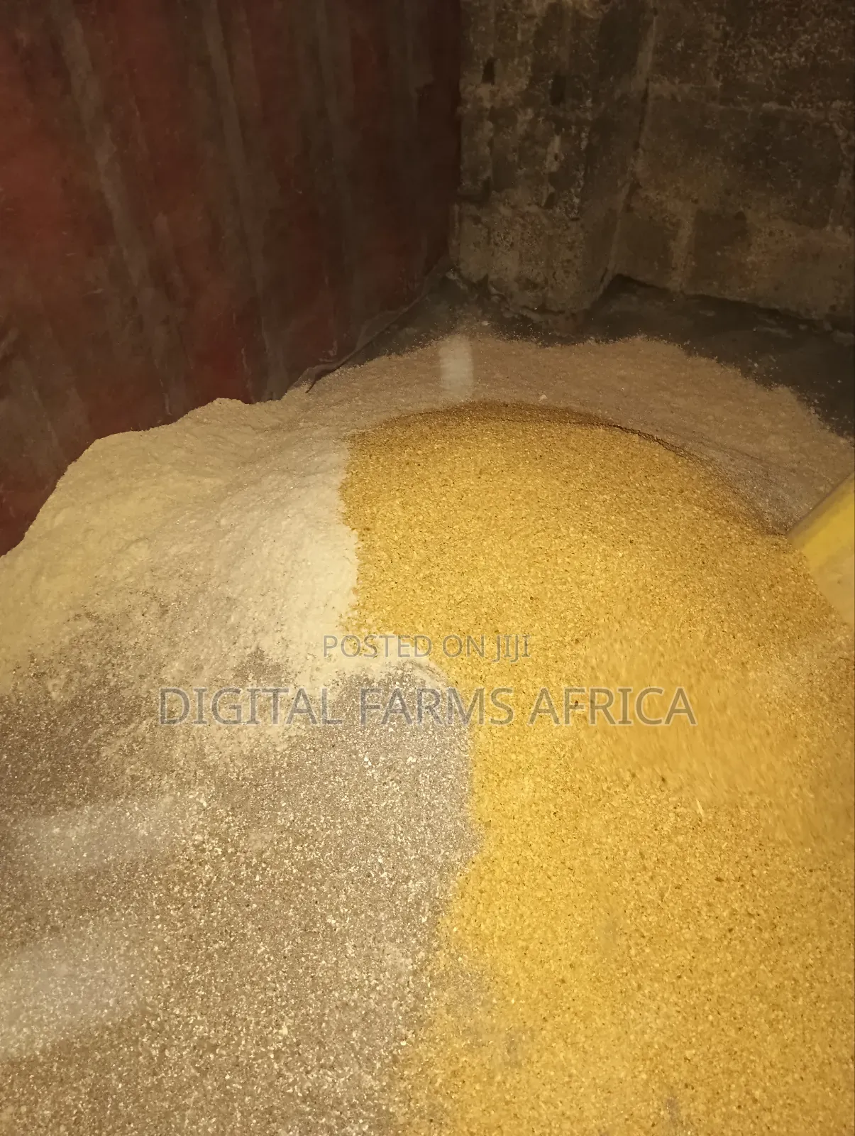 Dairy Meal