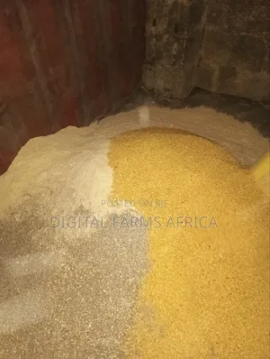 Dairy Meal