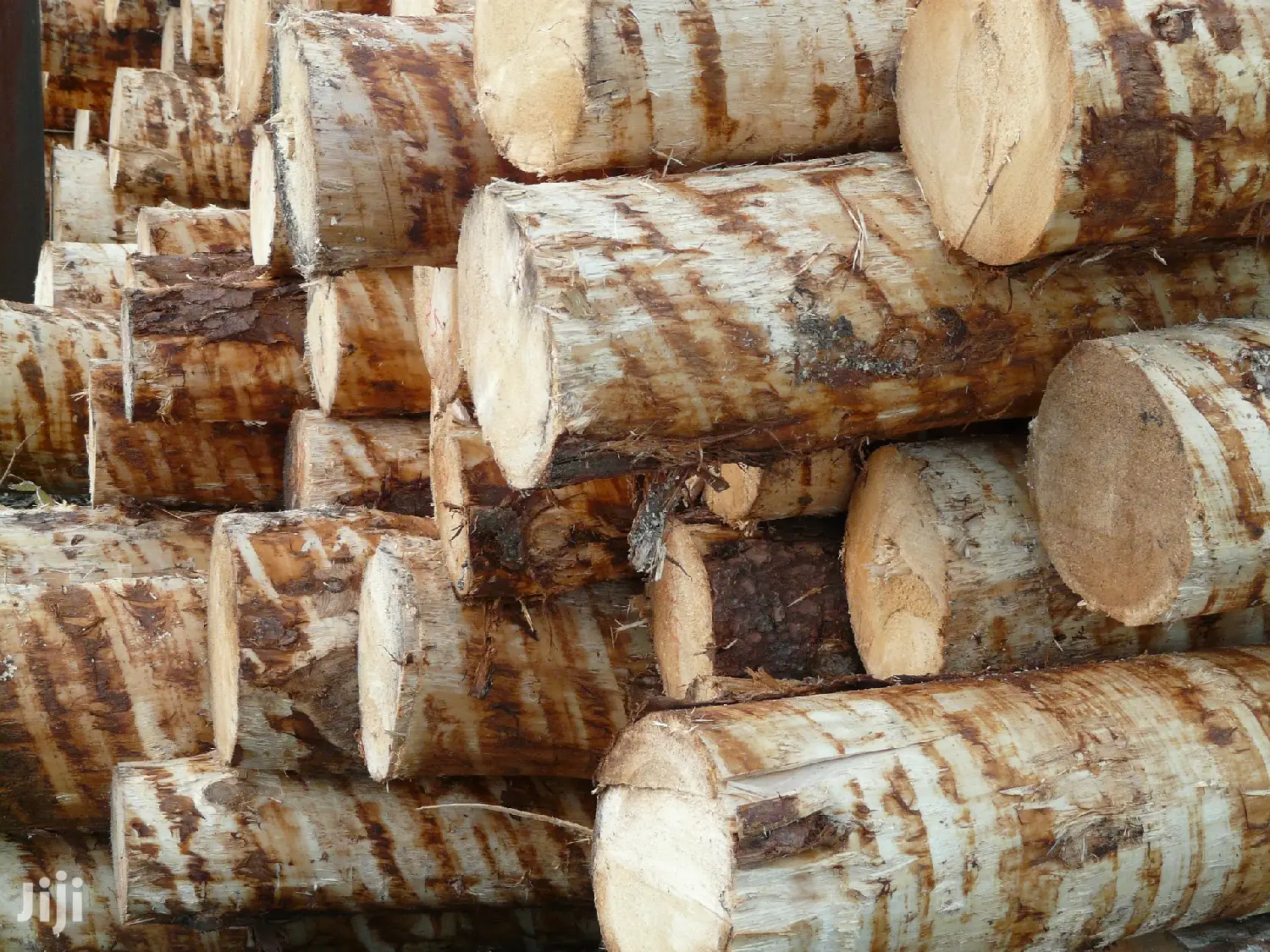 Timbers for Sale