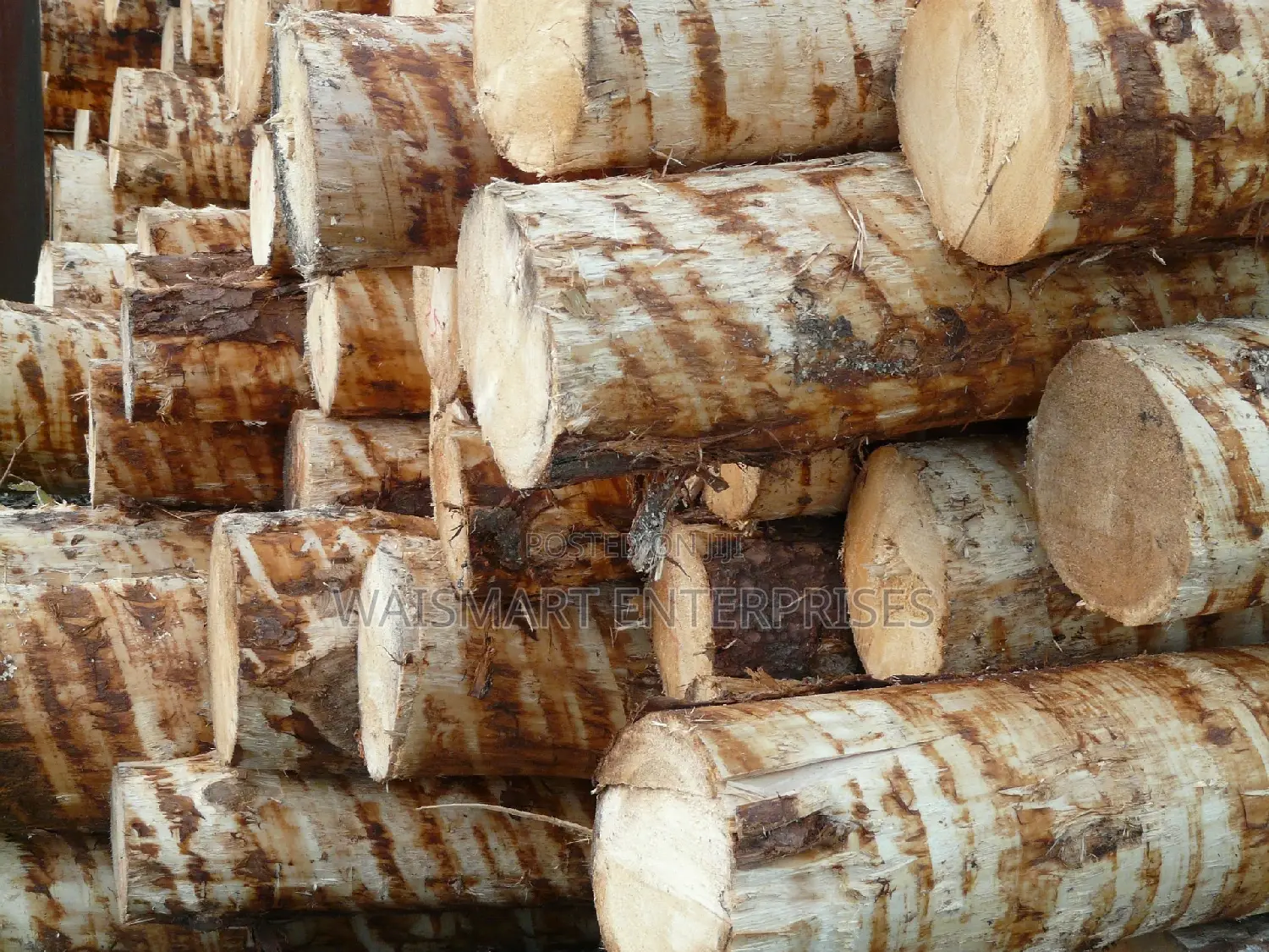 Timbers for Sale