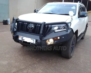 Bullbar Bumper Guards Instock