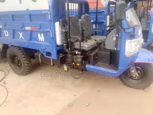 Tri Cycle With Trolley /Three Tyres Motor