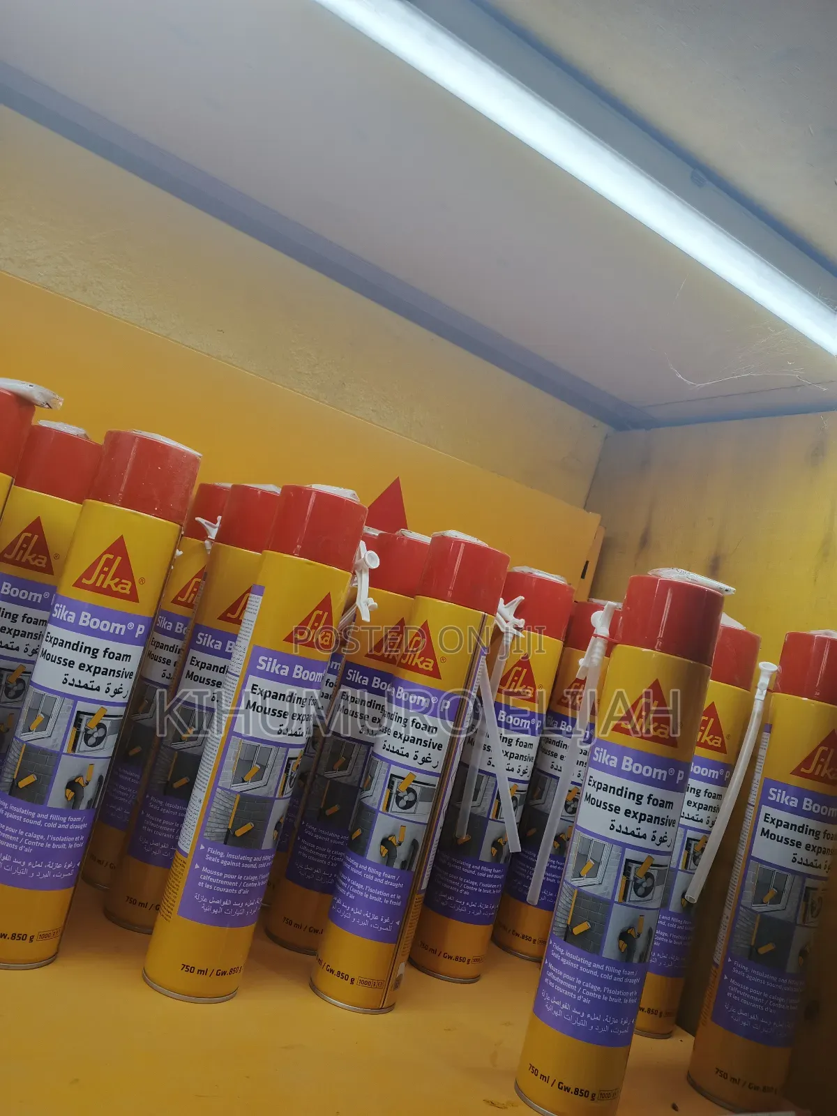 Expanding Foam Insulation (Sika)