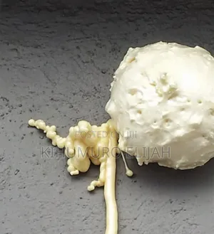 Expanding Foam Insulation (Sika)