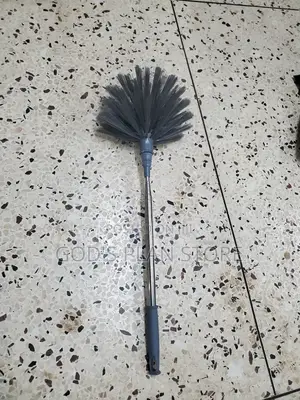 Cob Web Remover