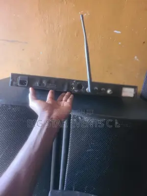 Microphone