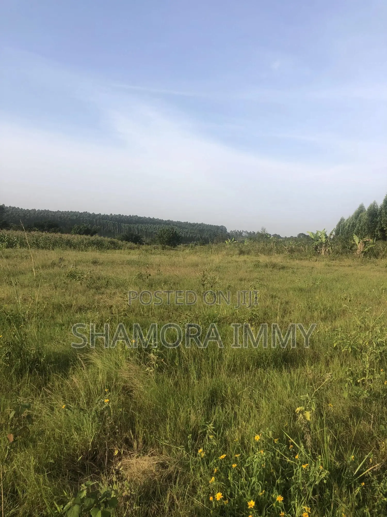 Land for Sale at Kasanje Bugogo