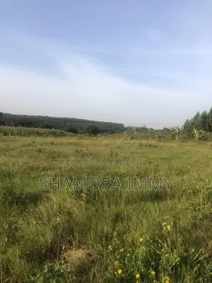 Land for Sale at Kasanje Bugogo