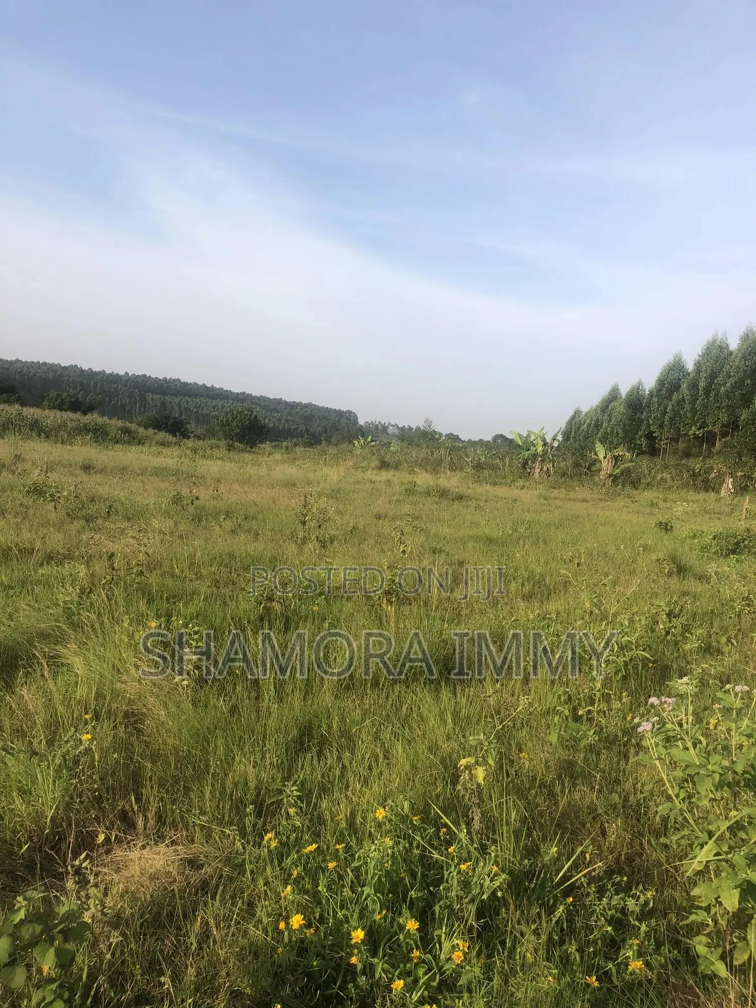 Land for Sale at Kasanje Bugogo