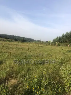 Land for Sale at Kasanje Bugogo