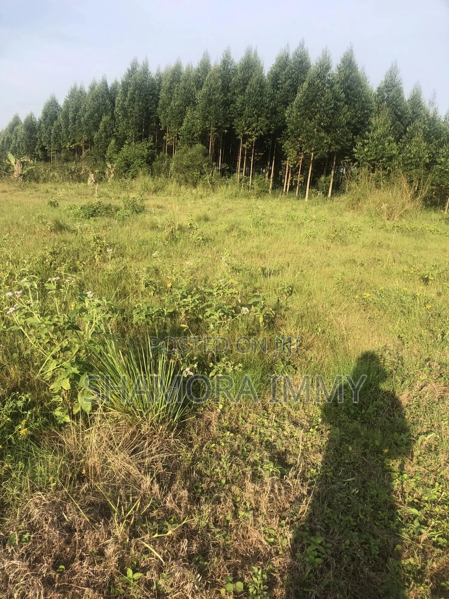 Land for Sale at Kasanje Bugogo