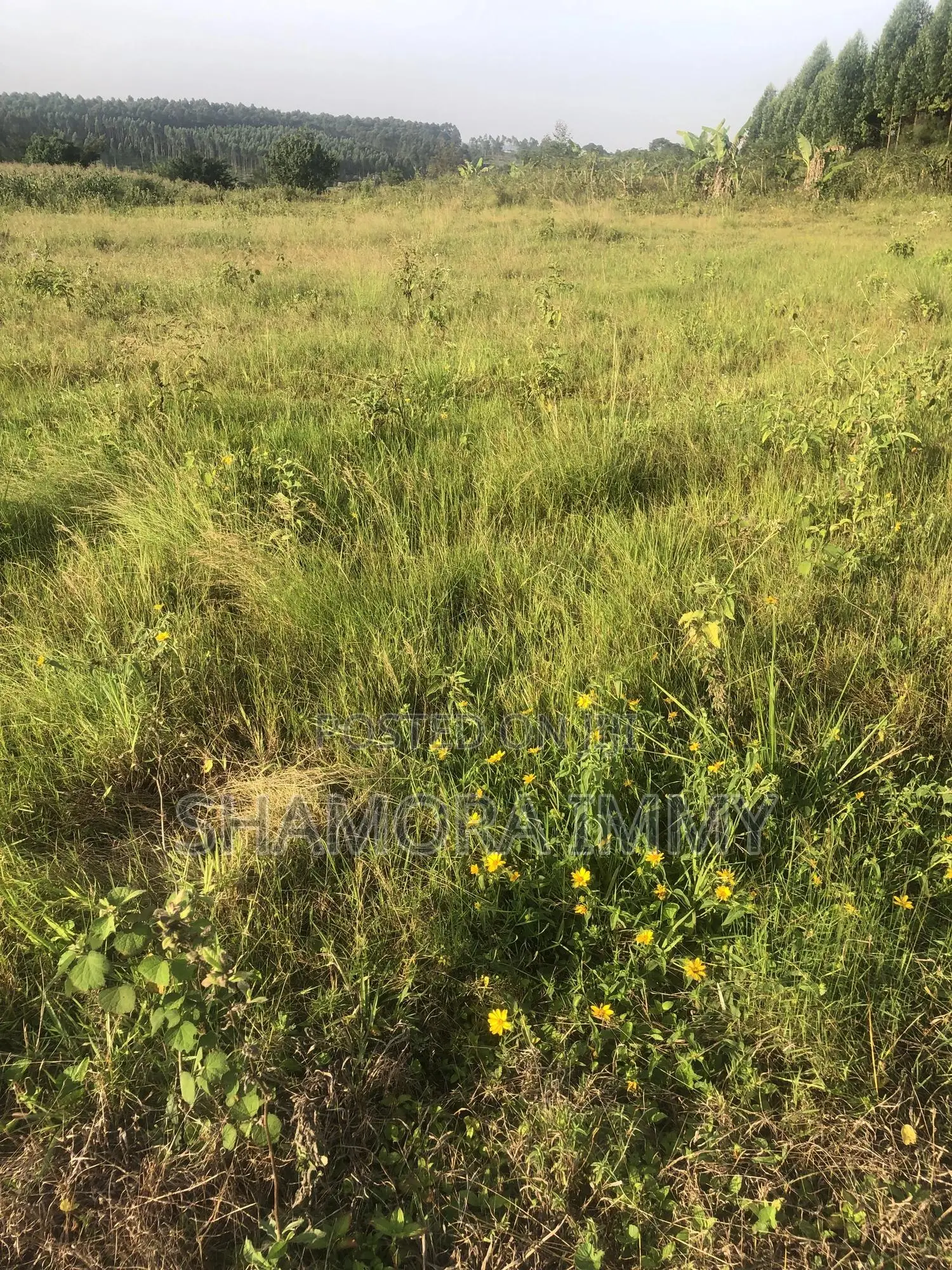 Land for Sale at Kasanje Bugogo
