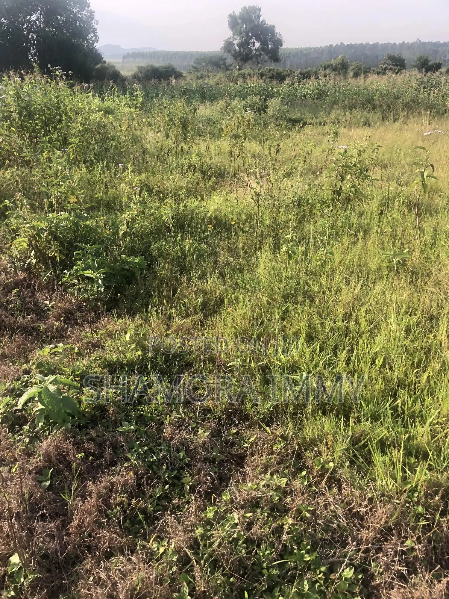 Land for Sale at Kasanje Bugogo