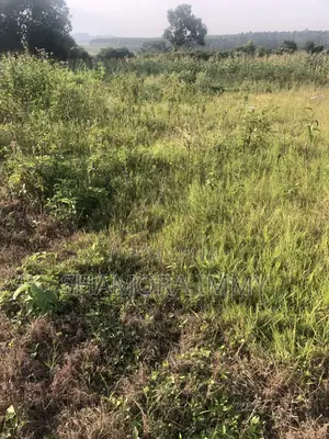 Land for Sale at Kasanje Bugogo