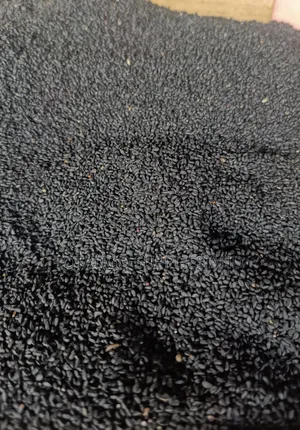 Black Seed-Cumin -1kg