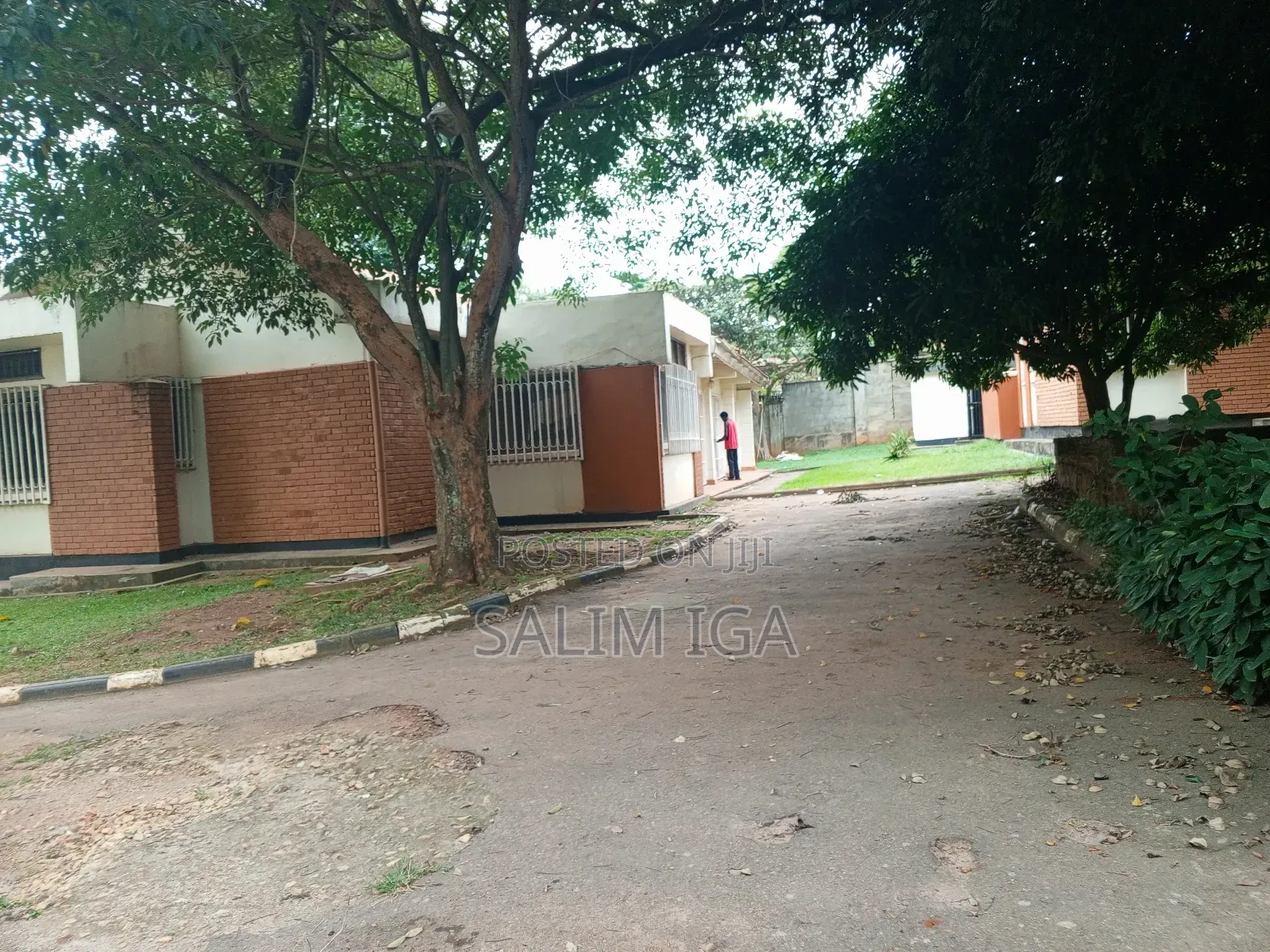 4bdrm Bungalow in Kololo Property, Central Division for rent