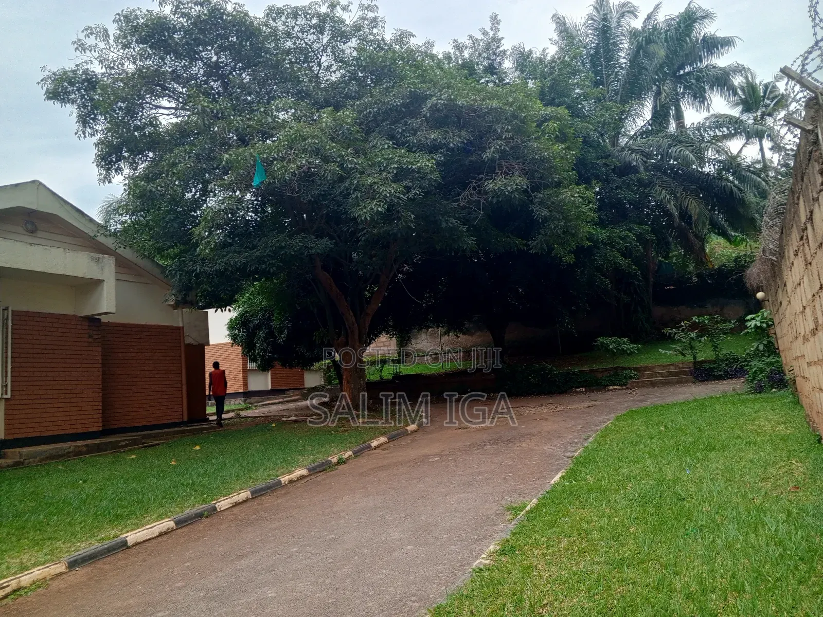 4bdrm Bungalow in Kololo Property, Central Division for rent