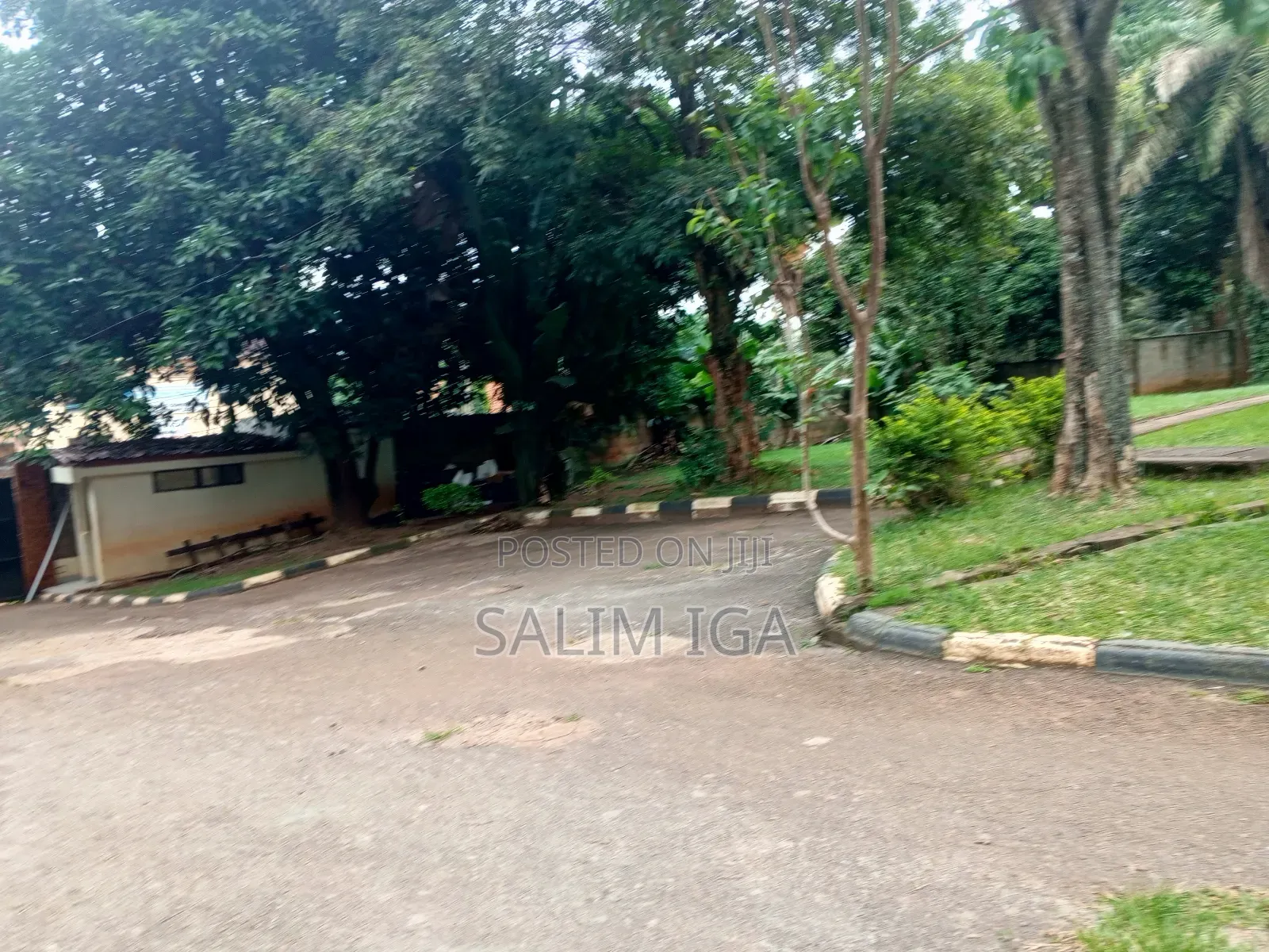 4bdrm Bungalow in Kololo Property, Central Division for rent