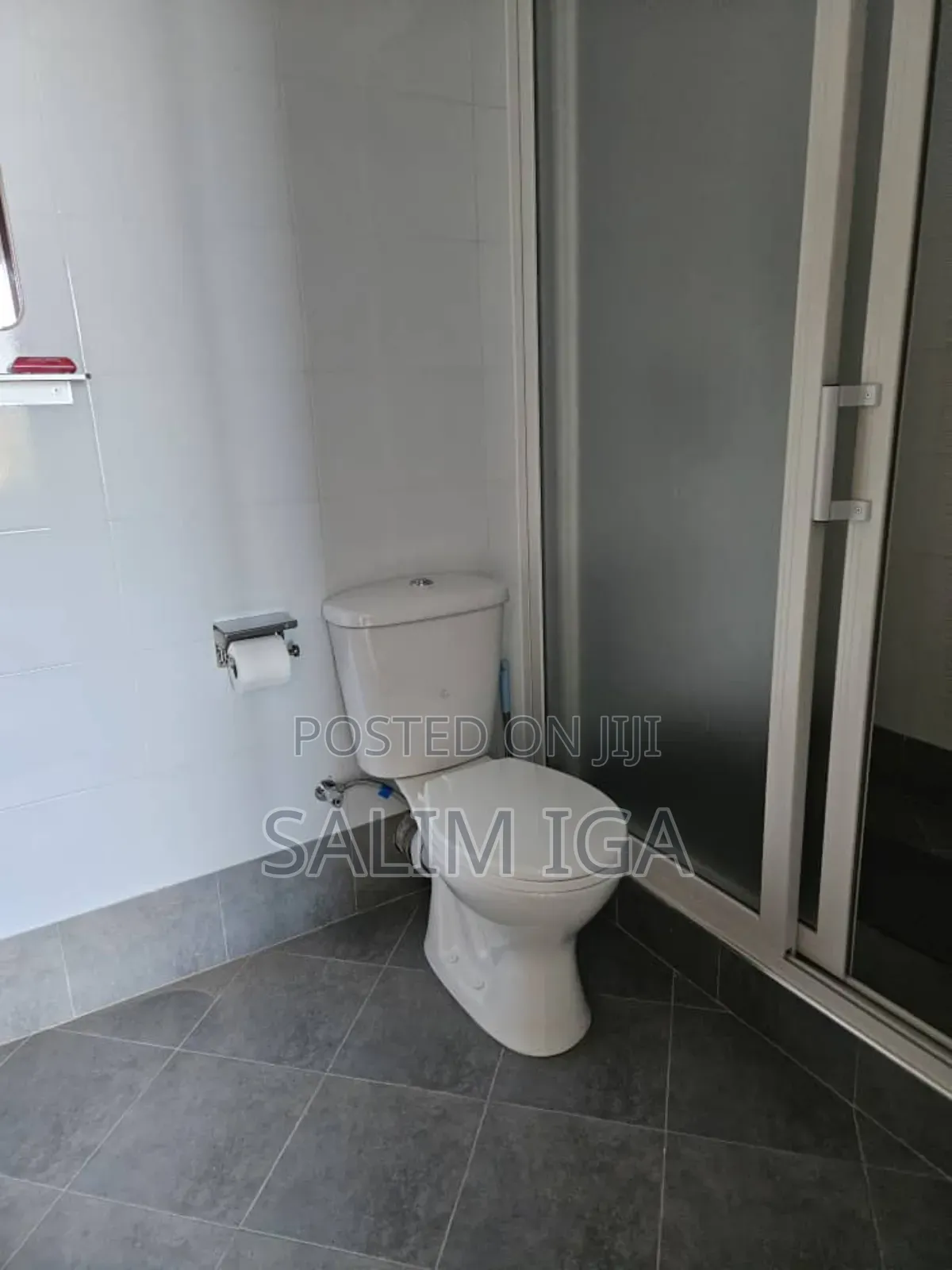Furnished 1bdrm Block of Flats in Kololo Property, Central Division