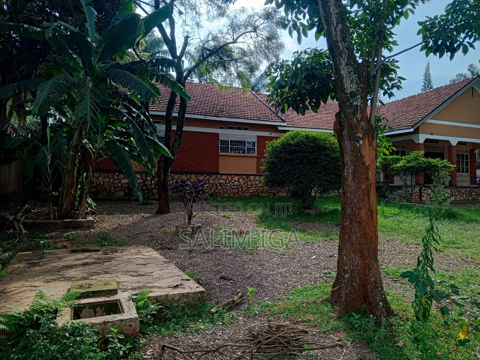 5bdrm Bungalow in Kololo Property, Central Division for rent