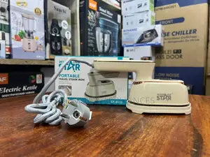 Winning Star Potable Steam Iron