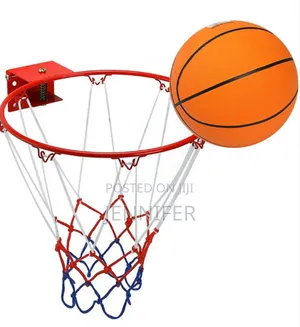 Heavy Duty Professional Basketball Hoop