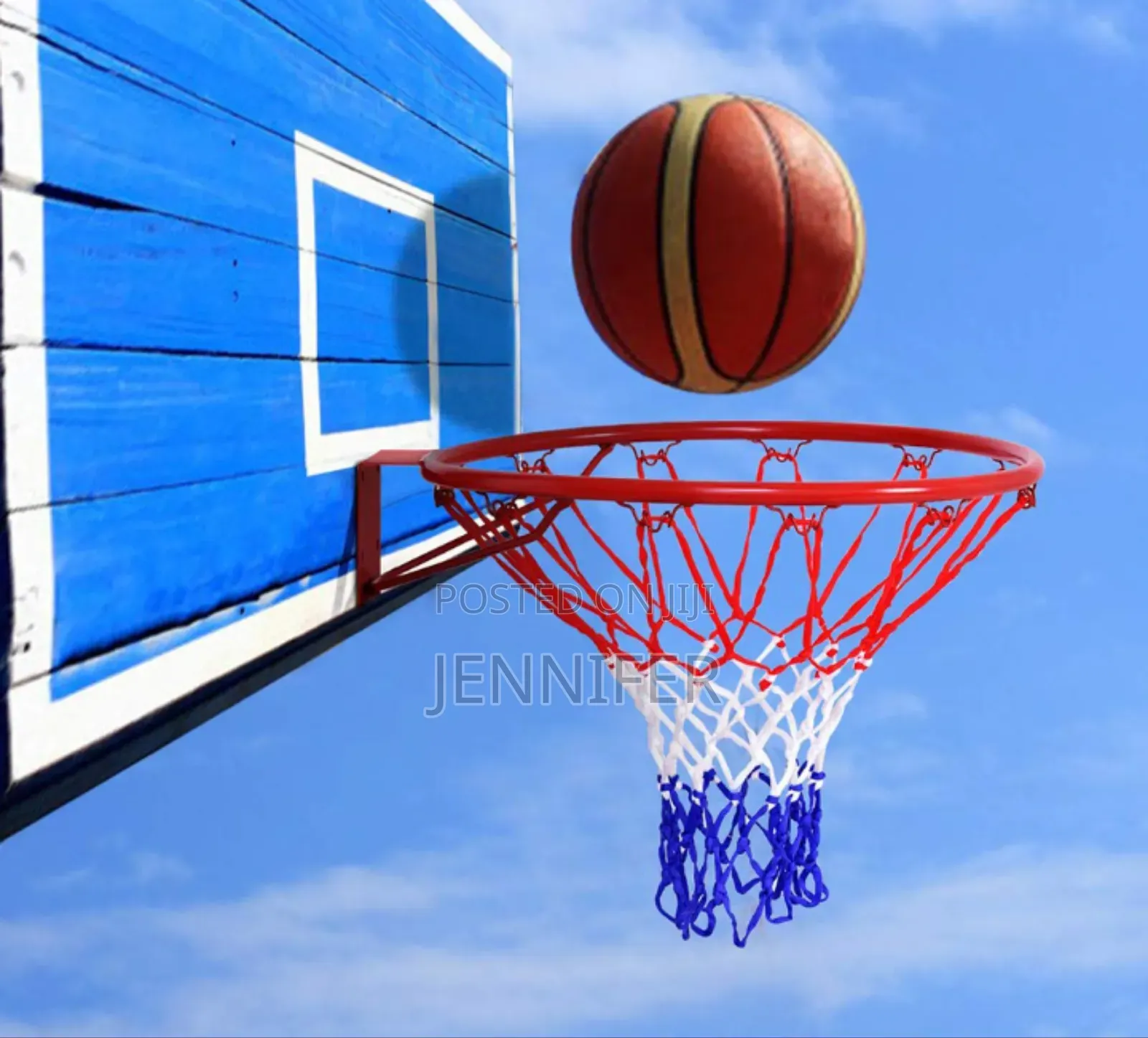 Heavy Duty Professional Basketball Hoop