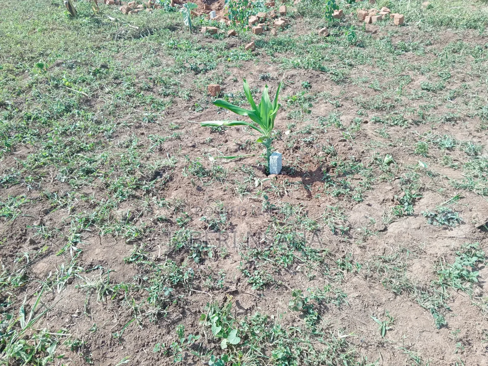 Plots for Sale Nampuge