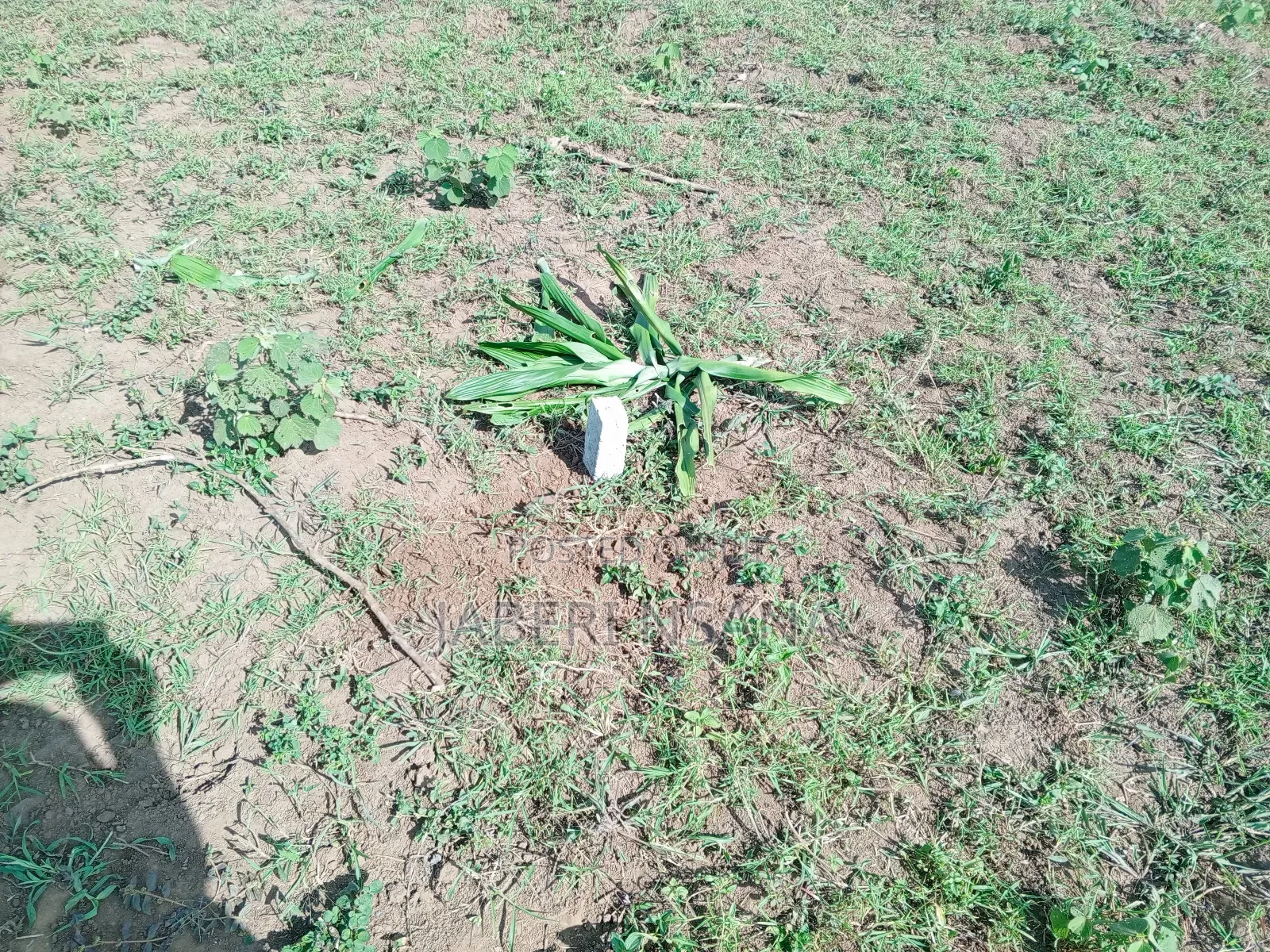 Plots for Sale Nampuge