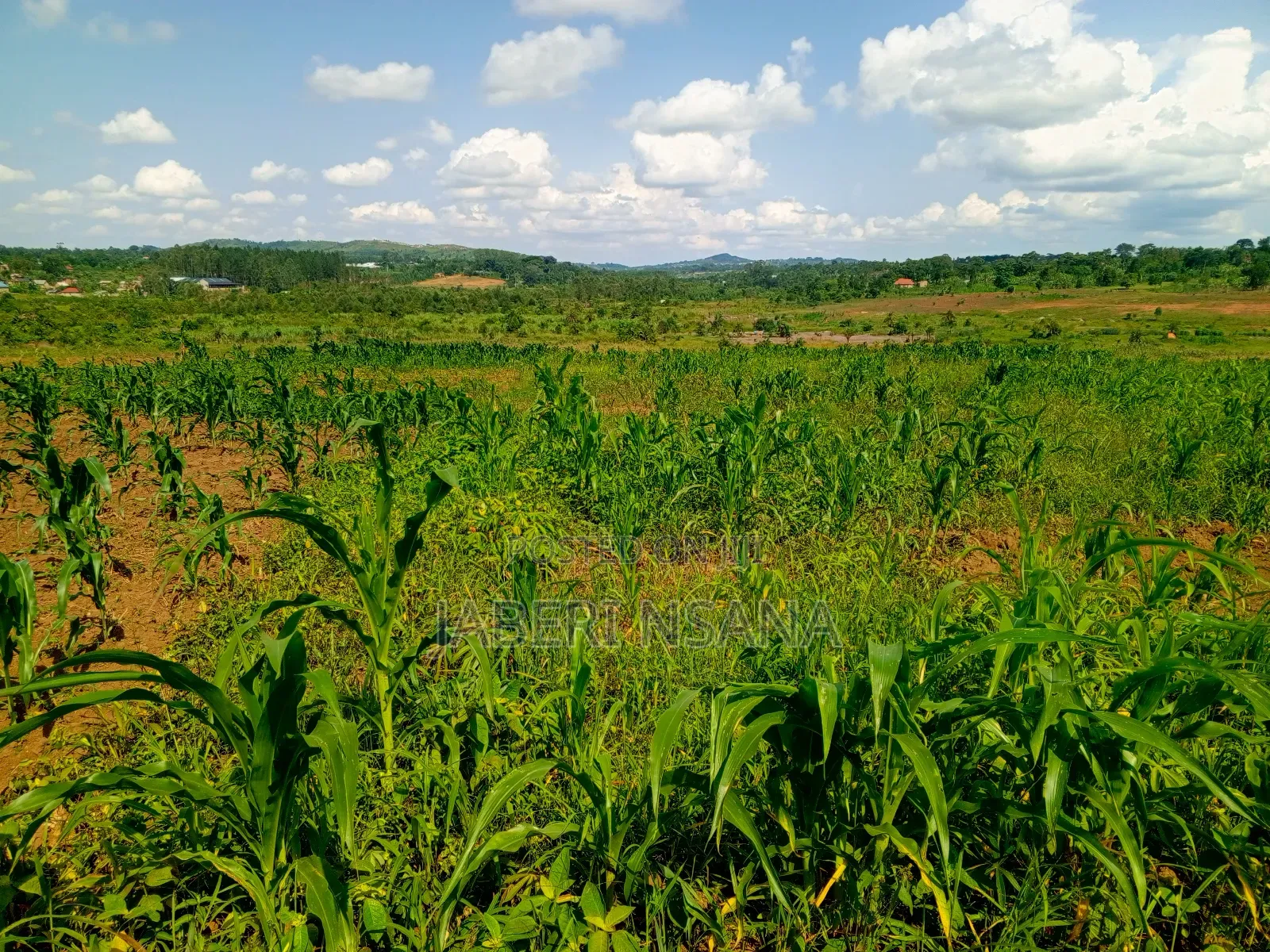 Plots for Sale Nampuge