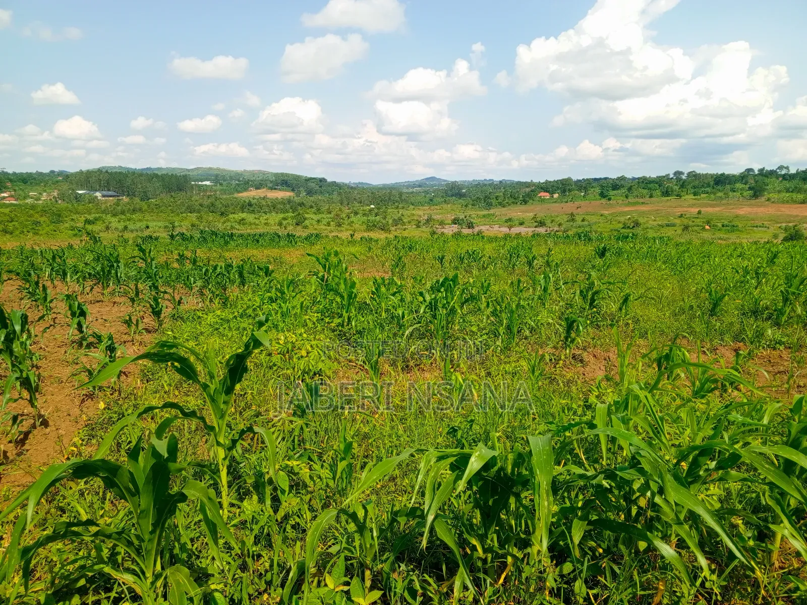 Plots for Sale Nampuge