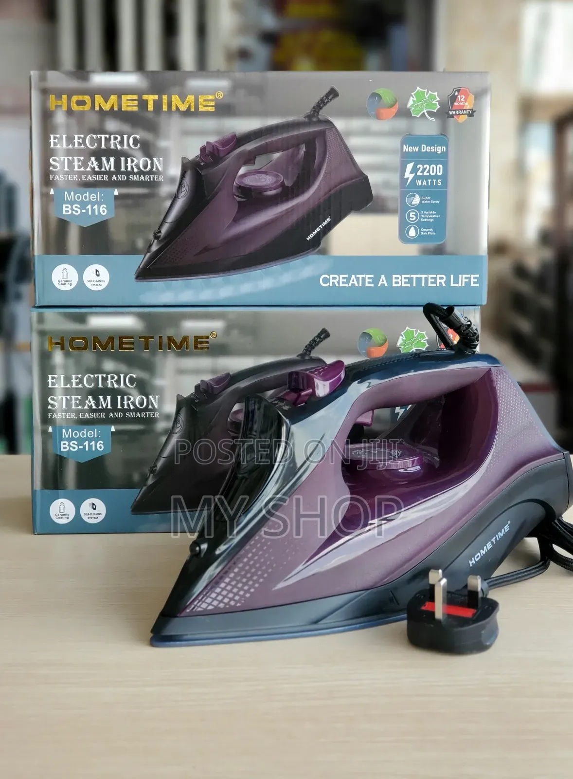 Electric Steam Iron Bs-116